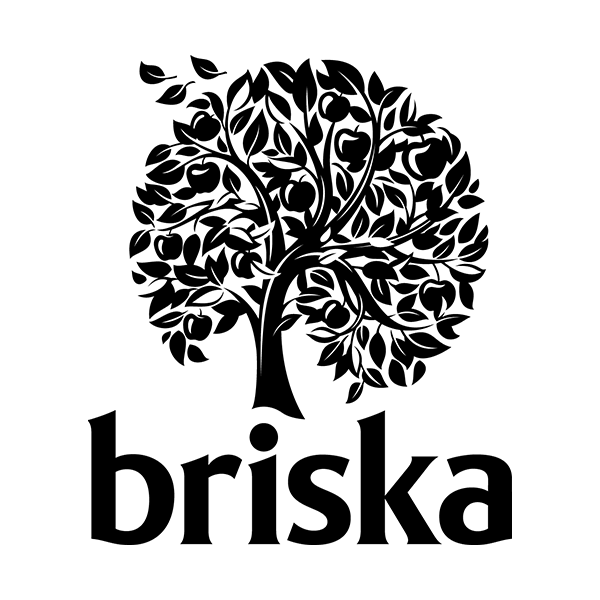 Briska